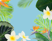 tropical flowers and leaves - border of fresh strelizia bird of paradize flowers, frangipani and exotic palm leaves on blue background