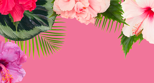 tropical flowers and leaves - border of fresh multicilored hibiscus flowers and exotic palm leaves on pink