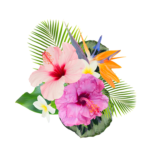 tropical flowers and leaves - fresh hibiscus and frangipani flowers and exotic palm leaves isolated on white
