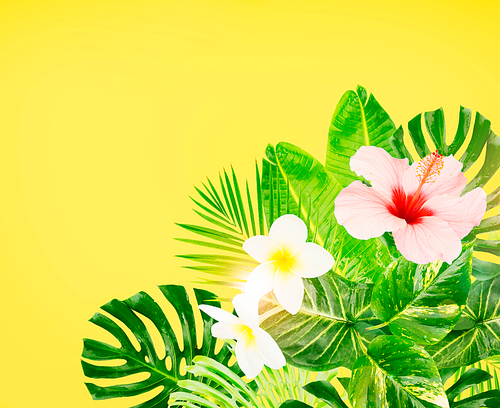 Tropical green leaves and flowers frame on yellow background with copy space toned image