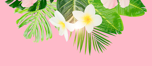 Tropical green leaves and flowers card, banner with copy space on pink summer background