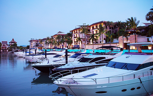 Picture of expensive motor boats in the tropical docks