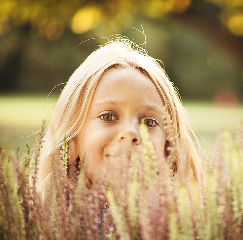 Cute, little girl hiding behind heather flowers