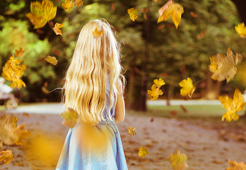 Little blond child posing in an autumn park  scenery