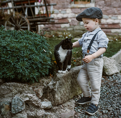 Little, cute and handsome boy stroking a cat
