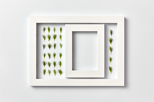 Empty frame with copy space and herbal pattern of young pine needles in a rectangular frame on a light gray background, place for text. Flat lay. Greeting card