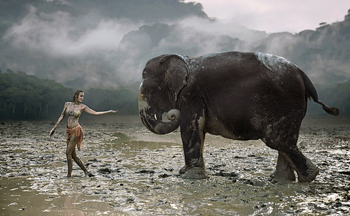 Conceptual portrait of a young, senusal tamer with an elephant