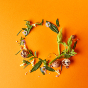 creative frame of nuts, flowers and green leaves on an orange background, autumn composition flat lay