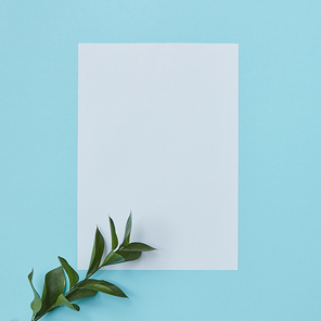 White frame with a green branch in the corner on a blue background with copy space under the text flat lay