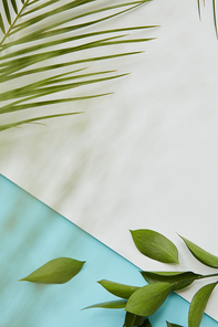 A frame of green branches on a blue background with a place under the text. Flat lay