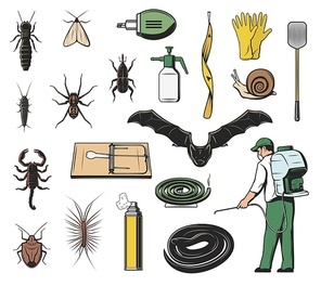 Pest control exterminator, insect, insecticide and rodent vector icons. Scorpion, weevil or snout beetle, bat, snake and spider, moth, snail and termite, mouse trap, fly flapper and repellent spray