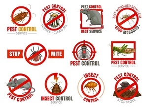 Pest control vector icons with insects and animals. Mosquito, cockroach, mouse and rat, fly, mite or tick, flea, colorado beetle and grasshopper, termite, mole isolated objects of disinfection service