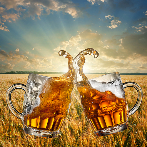 Splash of beer against wheat field and sunset