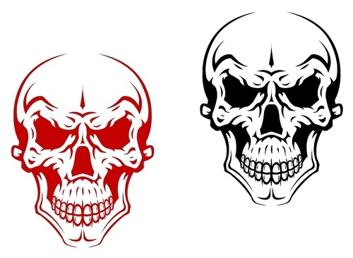 Human skull for horror or halloween design