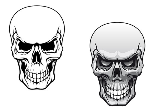 human skulls in color and monochrome versions for  design