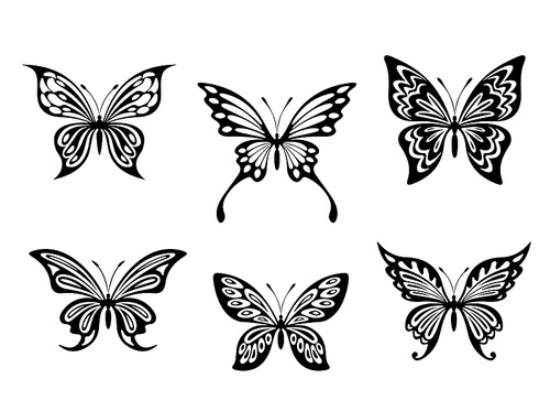 black butterfly s and silhouettes isolated on white 