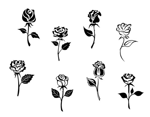 Rose flowers set isolated on white  for design and embellishments