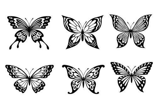 beautiful butterflies in monochrome style for  design