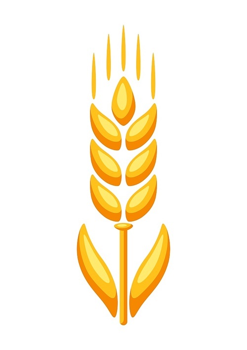 Illustration of ripe wheat ear. Agricultural natural emblem.