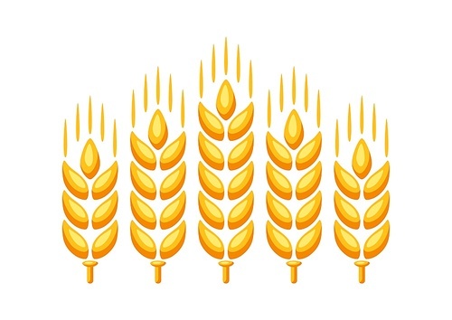 Illustration of ripe wheat ear. Agricultural natural emblem.