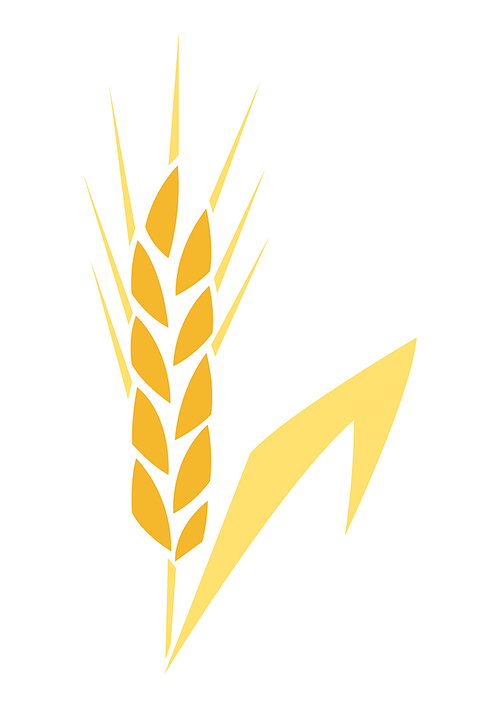 Illustration of ripe wheat ear. Agricultural stylized plant. Harvesting season item.