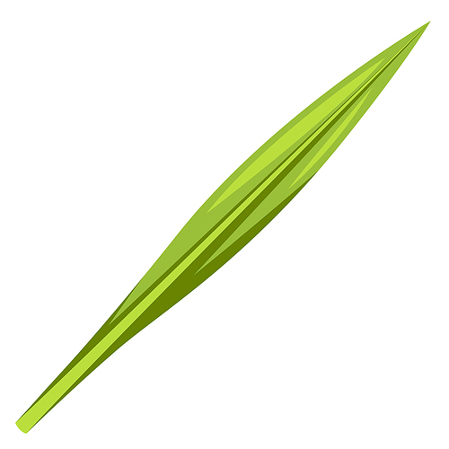 Illustration of lulav Happy Sukkot traditional symbol. Jewish element for celebration.