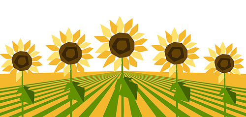 Background with ripe stylized sunflowers. Harvested agricultural field.