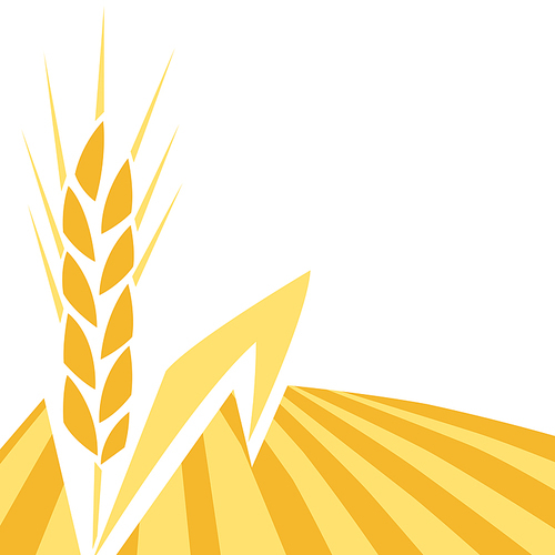 Background with wheat. Agricultural image of natural golden ear of barley or rye.