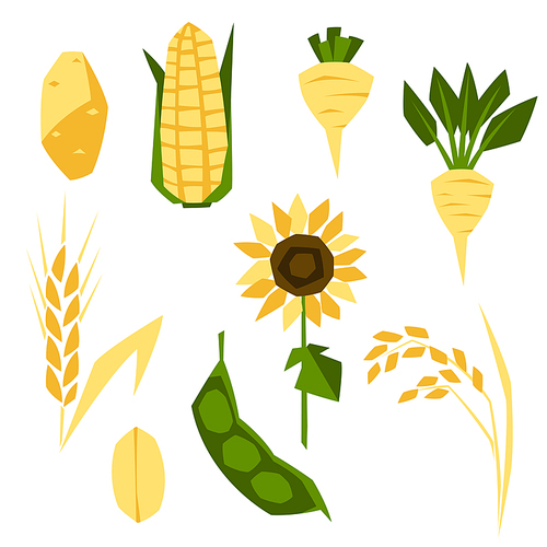 Set of agricultural crops. Harvesting stylized illustration. Vegetables and cereals.