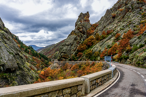 A narrow and curvy road in autum color mountain wilderness