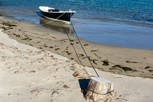 A single small fishing rowboat anchored on a tree stump on a sandy beach