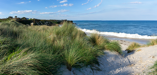 A beach access through marsh grass and sand dunes to a secluded sandy beach