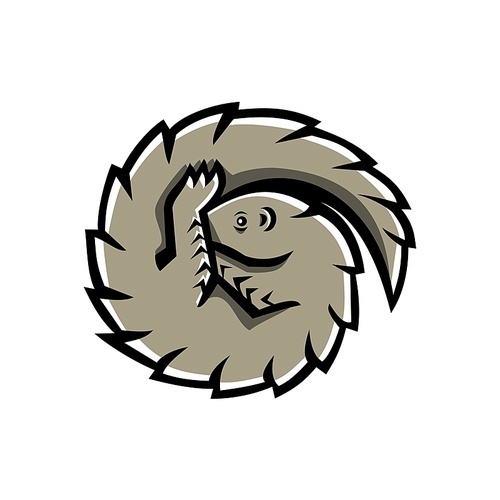 Mascot icon illustration of a pangolin also known as scaly anteater, a mammal covered in hard protective scales made of keratin, curled or curling on isolated background in retro style.