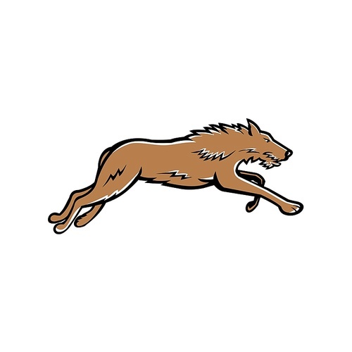 Sports mascot icon illustration of Scottish Deerhound or the Deerhound, a large breed of hound bred for hunting red deer running on isolated background in retro style.