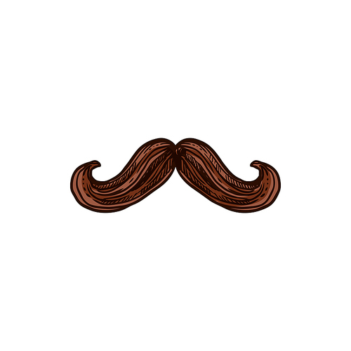 Curly mustaches isolated mexican males symbol. Vector brown hairy moustaches, man facial hair