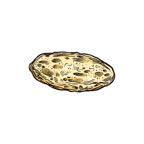 Corn or wheat mexican tortilla isolated sketch. Vector plain bread wrap, Mexico national food