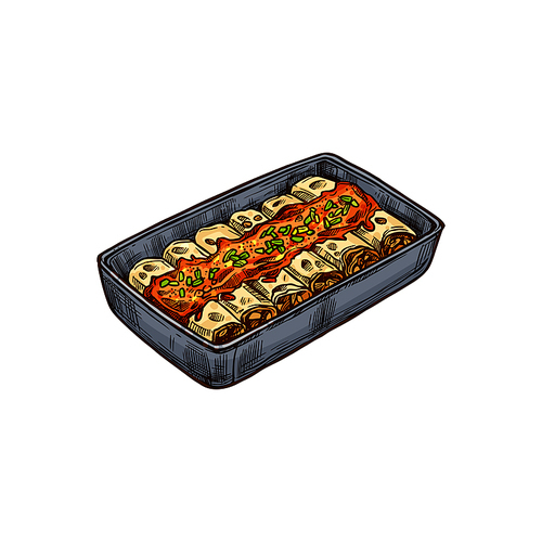 Mexican casserole isolated beef enchiladas in tomato sauce. Vector national food of Mexico