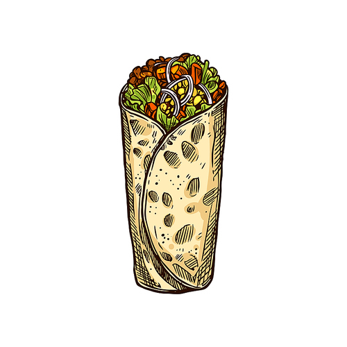 Tex Mex fajita wrapped in grilled tortilla isolated fast food snack. Vector burrito with meat and vegetables