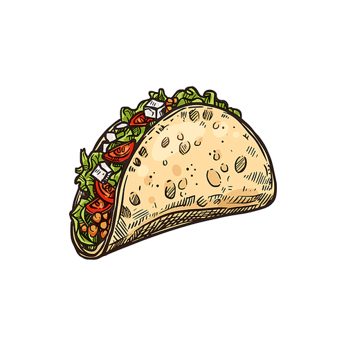 Fried tortilla with vegetable beans lettuce tomatoes and meat isolated tacos. Vector mexican fastfood snack