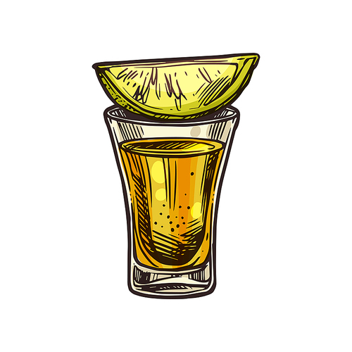 Glass of Mexican tequila with lime slice isolated sketch. Vector spirit drink and snack