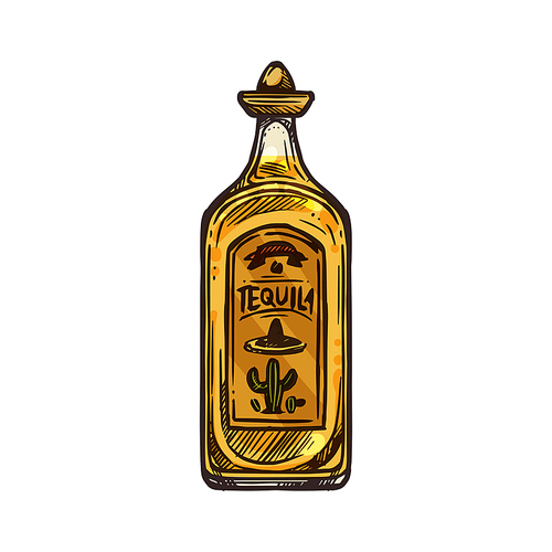 Tequila isolated spirit drink of cactus. Vector bottle with sombrero cap, mexican alcohol