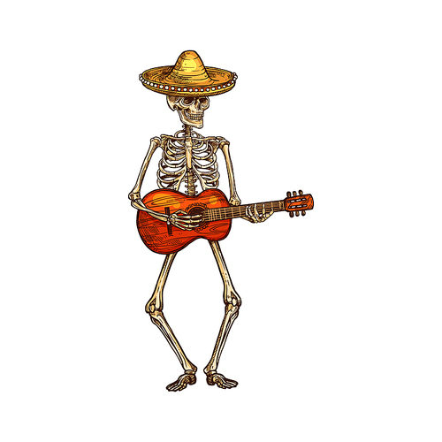 Human skeleton in sombrero hat playing on guitar. Vector Cinco de Mayo day of dead, mexican mariachi