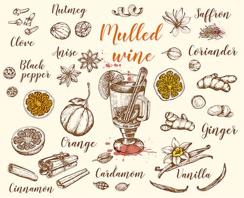 Vintage vector hand drawn mulled wine and spices. Traditional Christmas food and drink.