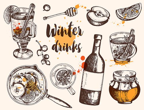 Vintage vector hand drawn mulled wine and ingredients. Traditional Christmas food and drink.