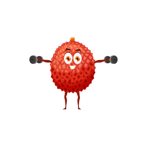 Lychee, fruit on gym workout, healthy food fitness and sport, vector cartoon character. Tropical fruit lychee or litchi training exercise with gym dumbbells or barbells, health in vitamins