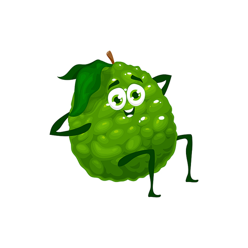 Bergamot fruit cartoon, healthy food in fitness and sport, vector character. Tropical citrus fruit bergamot training exercise in gym, healthy nutrition and energy in vitamins