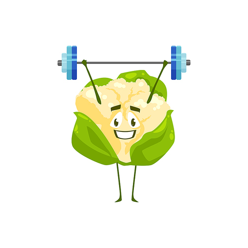 Cartoon cauliflower vegetable workout with barbell. Vector funny plant sportsman character sport exercises isolated on white . Healthy food, sports lifestyle, organic nutrition