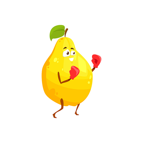 Cartoon pear or quince fruit sportsman vector icon, funny character in boxing gloves doing sport exercises isolated on white . Healthy food, sports lifestyle, fighting workout