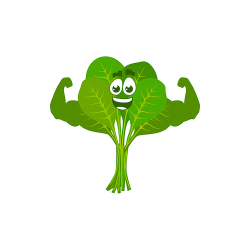 Cartoon spinach sportsman demonstrate power, vector funny green vegetable show muscles. Bodybuilding sport, healthy food character sports lifestyle, organic nutrition isolated on white 