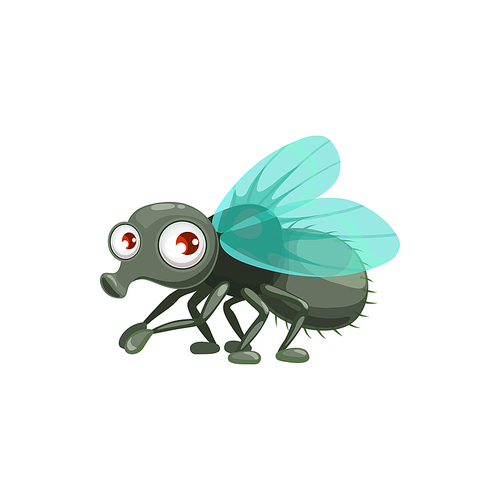 Cartoon fly vector icon, funny insect with cute face and big eyes. Pest control service mascot, design element. Wild flying creature isolated on white